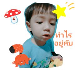 559344611