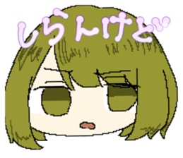 559360243