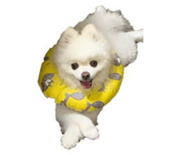 559366805
