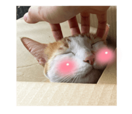 559367030