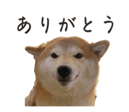 559369113
