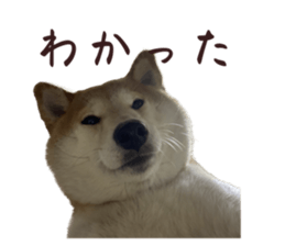 559369116