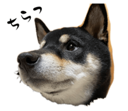 559449934