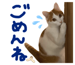 559480748
