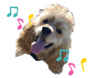 559541719