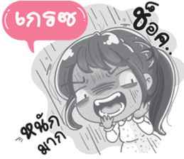 55955634