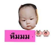 559557704