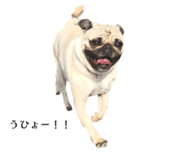 559574344