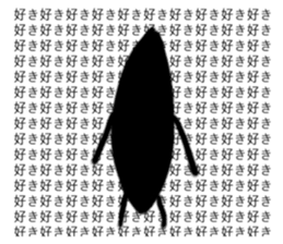 559581635