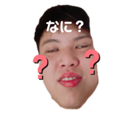 559596936