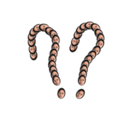 559605673