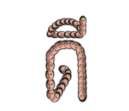 559605674