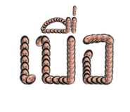 559605677