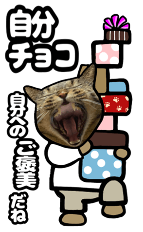 559620498