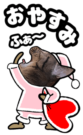 559620506