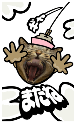 559620516