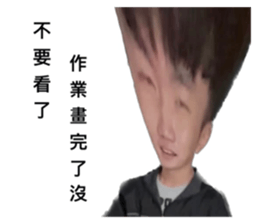 559623113