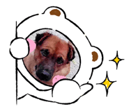 559628677