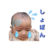 559638649