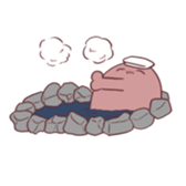 559642962
