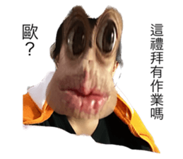 559677988