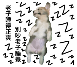 559715503