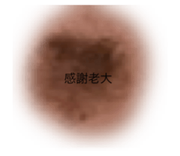 559715623