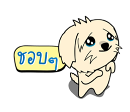 5597302