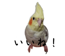 559750388