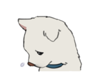 559750717