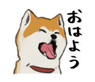559750728