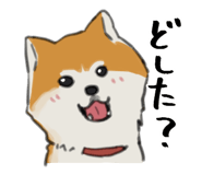 559750731