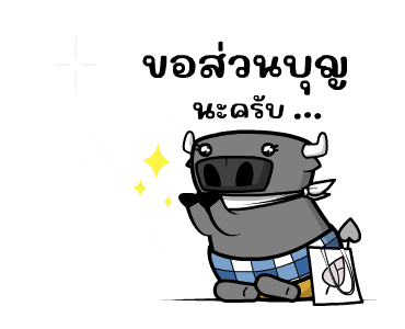 ลายที่ 13