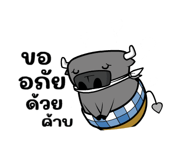 ลายที่ 41