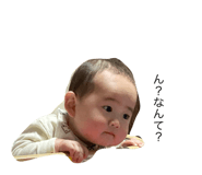 559804510