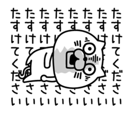 559806416