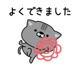 559807947