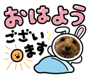 559821480