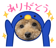 559821483