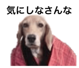 559833030