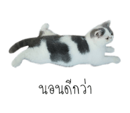 55984331