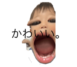 559858117