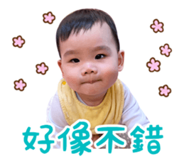 559866645