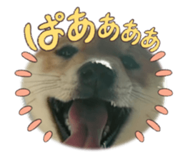 559880167