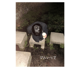 559890446