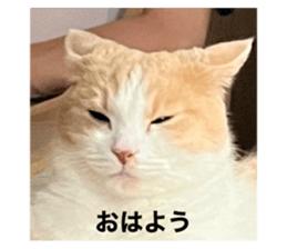 559894390
