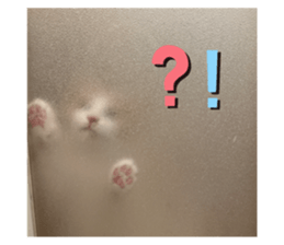 559894397