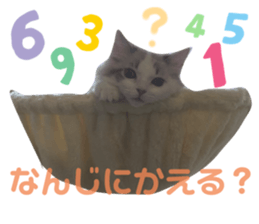 559895255