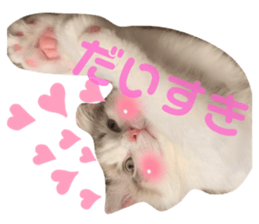 559895261