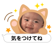 560040258